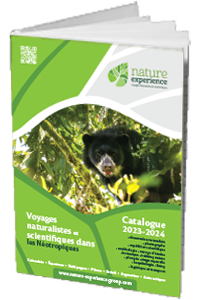 Receive our brochure - Nature Experience