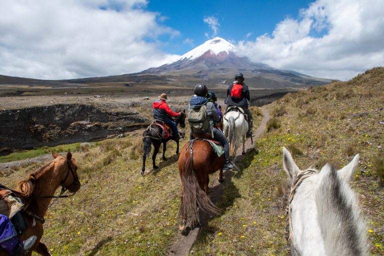 Randonnée à cheval dans le parc national Cotopaxi - Des chiffres et des lettres : Volcan Cotopaxi - Une histoire de Vacances en famille avec Nature Experience
