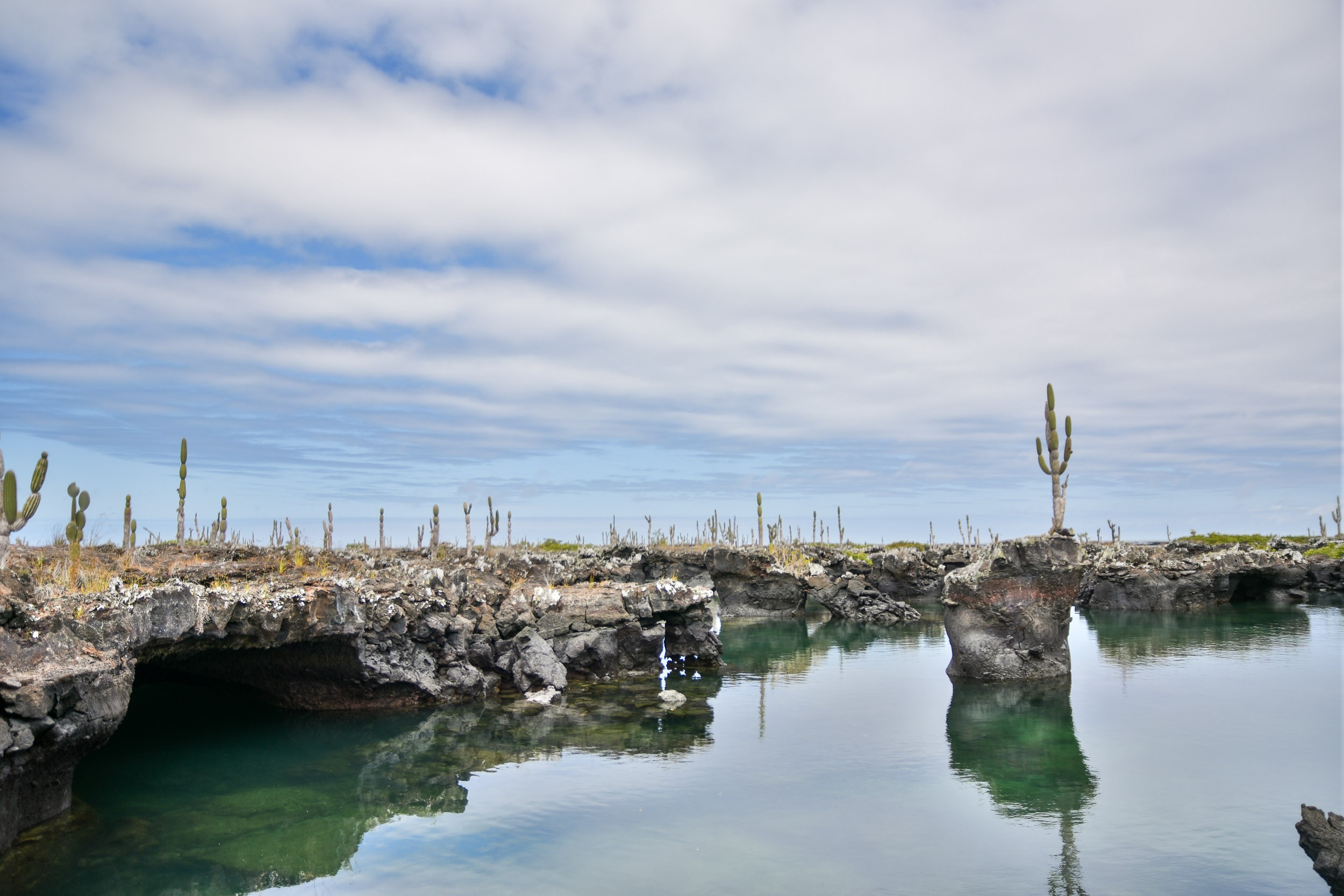 Calendrier des évènements naturels et climatiques aux Galápagos