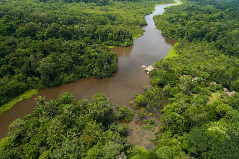 Comment voyager en Amazonie ? - Par Nature Experience
