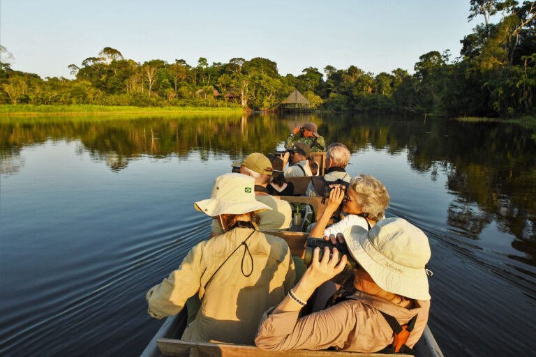 L’Amazonie dans la boite avec Nature Experience