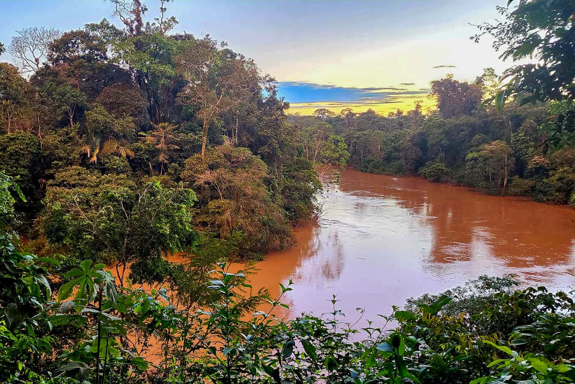 L’Amazonie en aquarelle avec Nature Experience