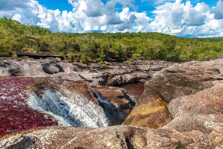 Caño Cristales with Nature Experience