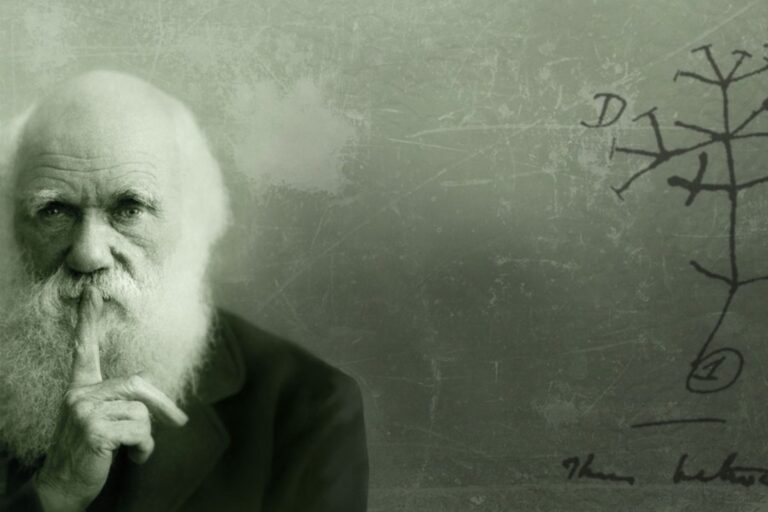 Et si la théorie de l’évolution de Darwin n’avait pas été élaborée que par Charles Darwin ? - Par Nature Experience