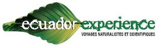 Ecuador Experience 2012