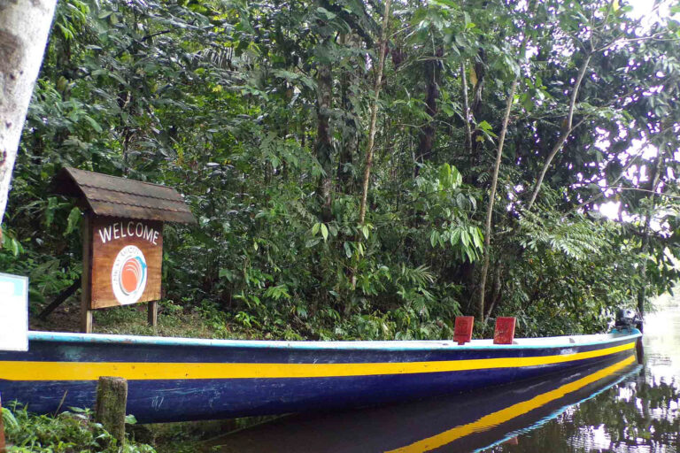 Nicky Amazon Lodge with Nature Experience