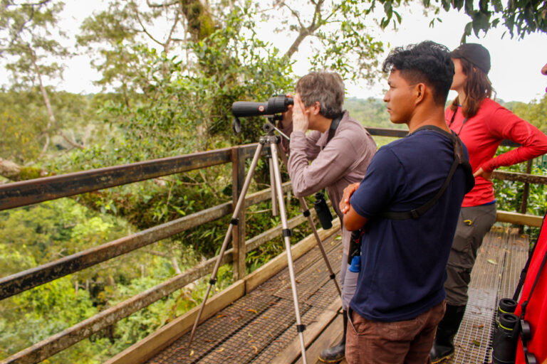 Canopée : levez le regard ! - L'Amazonie en aquarelle avec Nature Experience