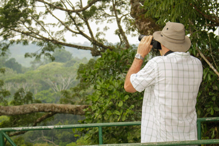 Canopée : levez le regard ! - L'Amazonie en aquarelle avec Nature Experience